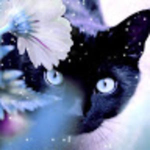 Meet your Posher, Kylie